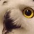 :iconjkbrowns12: