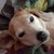 Jkimble62 :iconjkimble62: