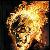 :iconjkr6t: