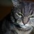 :iconjlauraphotography:
