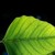 :iconjlb181: