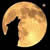 :iconjlcausby: