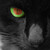 :iconjlebeau: