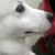 :iconjlee616:
