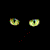 :iconjlousies: