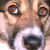:iconjlpuppy: