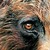 JMAC62 :iconjmac62: