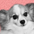 :iconjmcnary1960: