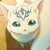 :iconjmekat11: