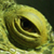 :iconjmontp: