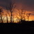:iconjmosesphotography: