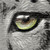 :iconjmsanford: