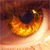 :iconjn-hybrid: