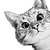 :iconjoanna108:
