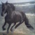 :iconjoannask7: