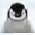 :iconjocker22black: