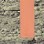 :iconjockeyb: