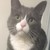 :iconjodine16: