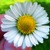 :iconjoe-awesomeness: