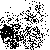 :iconjoe35007: