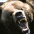 :iconjoebush: