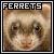 :iconjoeferretman: