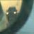 :iconjoehobeaux: