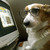 :iconjoelagachette: