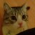 :iconjoepiscopo: