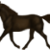 :iconjoerp2: