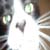 :iconjoesep: