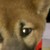 :iconjoetothemax: