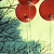 :iconjoey-the-flying-fish: