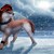 :iconjoeyblackwolf: