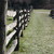 :iconjoeyn46: