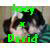 :iconjoeyxdavidfanclub: