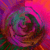 :iconjoggiwagga: