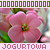 :iconjogurtowa: