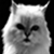 :iconjohandp: