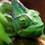:iconjohaniv: