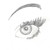 :iconjohanna-archdale: