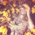 :iconjohannarin: