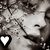 :iconjohannes-kepler: