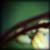 :iconjohawna: