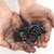 :iconjohn-h-saso: