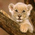 :iconjohn117117: