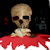 :iconjohndavidphotography:
