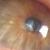 :iconjohnhessler: