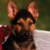 :iconjohnkuang: