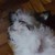 :iconjohnlazy: